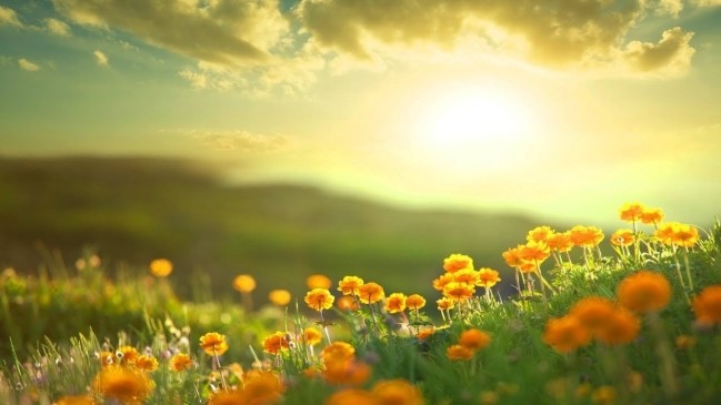 Trắc nghiệm tính cách bản thân