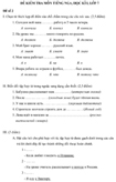Đề kiểm tra học kì I lớp 7 môn tiếng Nga - Đề số 2
