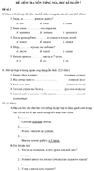 Đề kiểm tra học kì II lớp 7 môn tiếng Nga - Đề số 2
