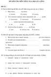 Đề kiểm tra học kì I lớp 8 môn tiếng Nga - Đề 2