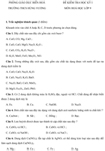 Đề kiểm tra học kì I lớp 9 môn Hóa học - Trường THCS Hùng Vương, Đồng Nai
