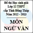 Đề thi học sinh giỏi lớp 12 THPT tỉnh Đồng Tháp môn Ngữ văn (năm học 2012 - 2013)