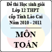 Đề thi học sinh giỏi lớp 12 THPT tỉnh Lào Cai môn Toán (năm học 2010 - 2011)