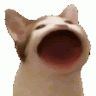 ❖