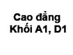 Đáp án đề thi cao đẳng môn Anh