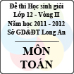 Đề thi học sinh giỏi tỉnh Long An lớp 12 vòng 2 năm 2011 - 2012 môn Toán