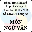 Đề thi học sinh giỏi tỉnh Long An lớp 12 vòng 2 năm 2011 - 2012 môn Ngữ văn