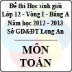 Đề thi học sinh giỏi tỉnh Long An lớp 12 vòng 1 năm 2012 - 2013 môn Toán (Bảng A)