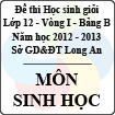 Đề thi học sinh giỏi tỉnh Long An lớp 12 vòng 1 năm 2012 - 2013 môn Sinh (Bảng B)