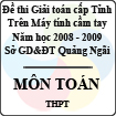 Đề thi giải toán trên Máy tính cầm tay cấp tỉnh Quảng Ngãi môn Toán THPT (2008 - 2009)