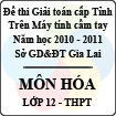 Đề thi học sinh giỏi Giải toán trên Máy tính cầm tay cấp tỉnh Gia Lai môn Hóa lớp 12 (2010 - 2011)