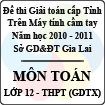Đề thi học sinh giỏi Giải toán trên Máy tính cầm tay cấp tỉnh Gia Lai môn Toán lớp 12 GDTX (2010 - 2011)