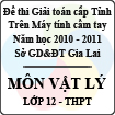 Đề thi học sinh giỏi Giải toán trên Máy tính cầm tay cấp tỉnh Gia Lai môn Vật lý lớp 12 (2010 - 2011)
