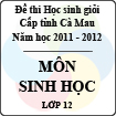 Đề thi học sinh giỏi tỉnh Cà Mau lớp 12 năm 2012 môn Sinh
