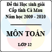 Đề thi học sinh giỏi tỉnh Cà Mau lớp 12 năm 2010 môn Toán