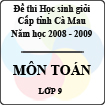 Đề thi học sinh giỏi tỉnh Cà Mau lớp 9 năm 2009 môn Toán
