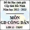 Đề thi học sinh giỏi tỉnh Bắc Ninh năm 2012 - 2013 môn Giáo dục công dân lớp 12 (Có đáp án)