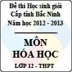 Đề thi học sinh giỏi tỉnh Bắc Ninh năm 2012 - 2013 môn Hóa lớp 12 (Có đáp án)