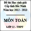 Đề thi học sinh giỏi tỉnh Bắc Ninh năm 2012 - 2013 môn Toán lớp 12 (Có đáp án)