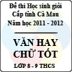 Đề thi chọn học sinh giỏi Văn hay chữ tốt cấp THCS (lớp 8 - 9) năm 2012