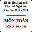 Đề thi học sinh giỏi tỉnh Nghệ An năm 2012 - 2013 môn Toán lớp 12 Bảng B (Có đáp án)