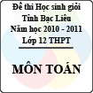 Đề thi học sinh giỏi tỉnh Bạc Liêu môn Toán lớp 12 (Năm học 2010 - 2011) - Có đáp án