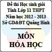 Đề thi học sinh giỏi lớp 11 THPT tỉnh Quảng Bình năm học 2012 - 2013 môn Hóa học - Có đáp án