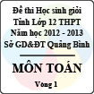 Đề thi học sinh giỏi lớp 12 THPT tỉnh Quảng Bình năm học 2012 - 2013 môn Toán - Vòng 1 (Có đáp án)