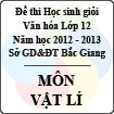 Đề thi học sinh giỏi Văn hóa lớp 12 tỉnh Bắc Giang năm học 2012 - 2013 môn Vật lý - Có đáp án