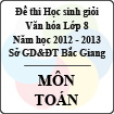 Đề thi học sinh giỏi Văn hóa lớp 8 tỉnh Bắc Giang năm học 2012 - 2013 môn Toán - Có đáp án