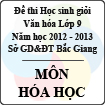 Đề thi học sinh giỏi Văn hóa lớp 9 tỉnh Bắc Giang năm học 2012 - 2013 môn Hóa học - Có đáp án