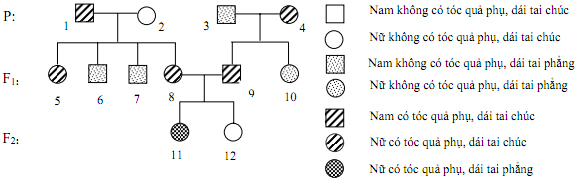 Đề thi học sinh giỏi lớp 12 THPT tỉnh Thanh H&oacute;a năm học 2011 - 2012 m&ocirc;n Sinh học 