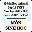 Đề thi học sinh giỏi lớp 11 THPT tỉnh Hà Tĩnh năm học 2012 - 2013 môn Sinh học - Có đáp án
