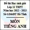 Đề thi học sinh giỏi lớp 11 THPT tỉnh Hà Tĩnh năm học 2012 - 2013 môn Tiếng Anh - Có đáp án
