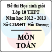 Đề thi học sinh giỏi lớp 10 THPT tỉnh Hải Dương năm học 2012 - 2013 môn Toán - Có đáp án