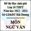 Đề thi học sinh giỏi lớp 10 THPT tỉnh Hải Dương năm học 2012 - 2013 môn Vật lý - Có đáp án