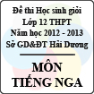 Đề thi học sinh giỏi lớp 12 THPT tỉnh Hải Dương năm học 2012 - 2013 môn Tiếng Nga - Có đáp án