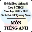 Đề thi học sinh giỏi lớp 9 THCS tỉnh Quảng Nam môn Tiếng Anh - Có đáp án