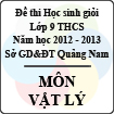 Đề thi học sinh giỏi lớp 9 THCS tỉnh Quảng Nam môn Vật lý