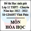 Đề thi học sinh giỏi lớp 12 THPT chuyên tỉnh Vĩnh Phúc năm 2013 môn Hóa học - Có đáp án