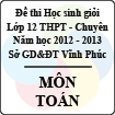 Đề thi học sinh giỏi lớp 12 THPT chuyên tỉnh Vĩnh Phúc năm 2013 môn Toán - Có đáp án