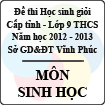 Đề thi học sinh giỏi lớp 9 THCS tỉnh Vĩnh Phúc năm 2013 môn Sinh học - Có đáp án