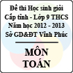 Đề thi học sinh giỏi lớp 9 THCS tỉnh Vĩnh Phúc năm 2013 môn Toán - Có đáp án