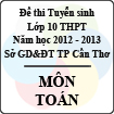 Đề thi tuyển sinh lớp 10 THPT TP Cần Thơ năm học 2012 - 2013 môn Toán - Có đáp án