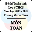 Đề thi tuyển sinh vào lớp 6 trường Marie Curie năm học 2013 - 2014 môn Toán