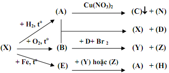 Đề thi tuyển sinh lớp 10 THPT Chuyên tỉnh Kiên Giang năm 2012 - 2013 môn Hóa học Đề thi tuyển sinh lớp 10 THPT Chuyên tỉnh Kiên Giang năm 2012 - 2013 môn Hóa học