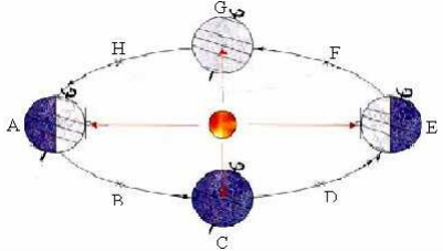 Đề thi học sinh giỏi lớp 9 THCS tỉnh Ninh Thuận năm 2012 - 2013 m&ocirc;n Địa l&yacute;