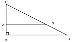 Đề thi tuyển sinh lớp 6 Th&agrave;nh phố B&agrave; Rịa