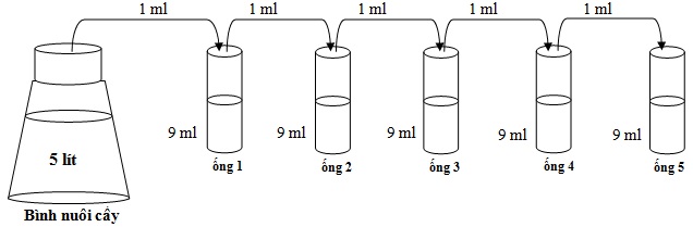 Đề thi giải to&aacute;n tr&ecirc;n MTCT trường THPT Bu&ocirc;n Ma Thuột năm 2013 - 2014