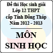 Đề thi học sinh giỏi lớp 12 THPT tỉnh Đồng Tháp môn Sinh học (năm học 2012 - 2013)